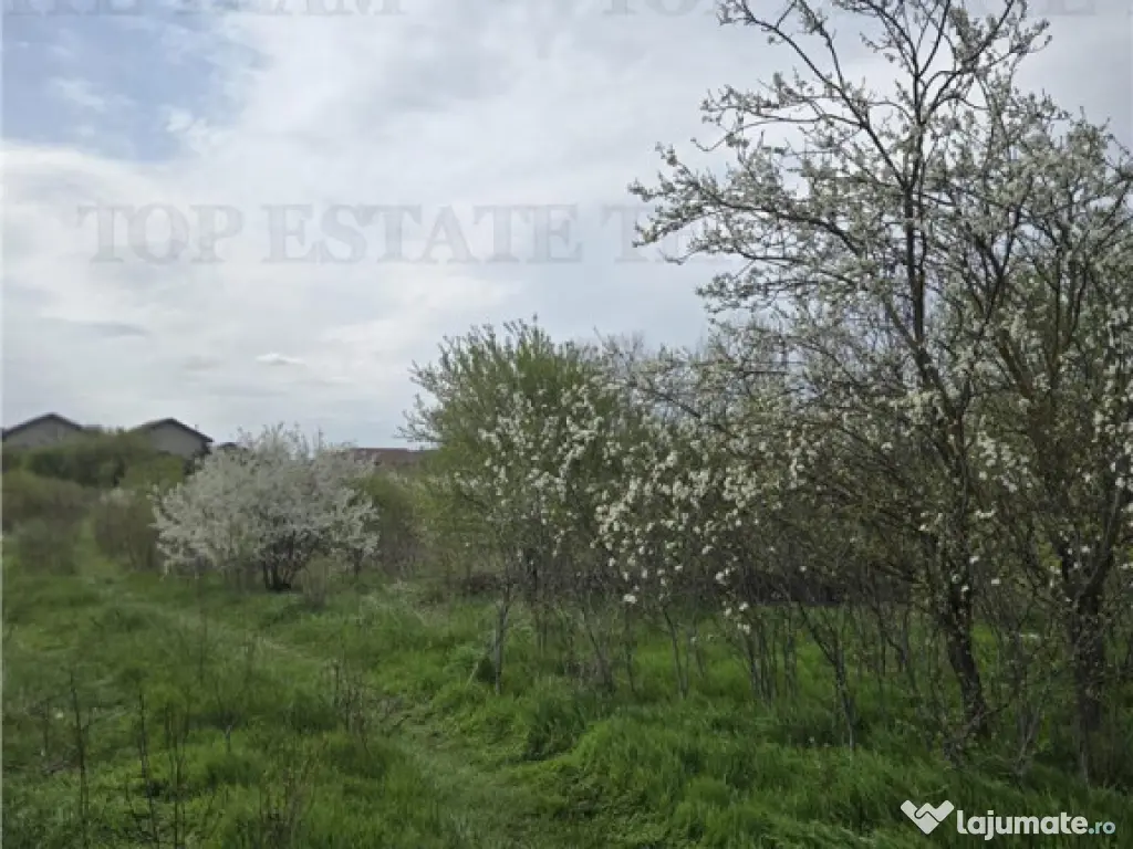 TEREN INTRAVILAN la 20 minute de Bucuresti