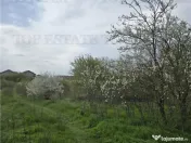 TEREN INTRAVILAN la 20 minute de Bucuresti 