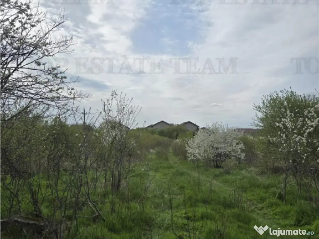 TEREN INTRAVILAN la 20 minute de Bucuresti