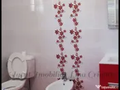 Vila individuala 200 metri distanță de Crângul Petrești 