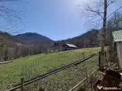 Casa de Vacanta Lepsa 