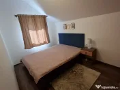 Casa de Vacanta Lepsa 