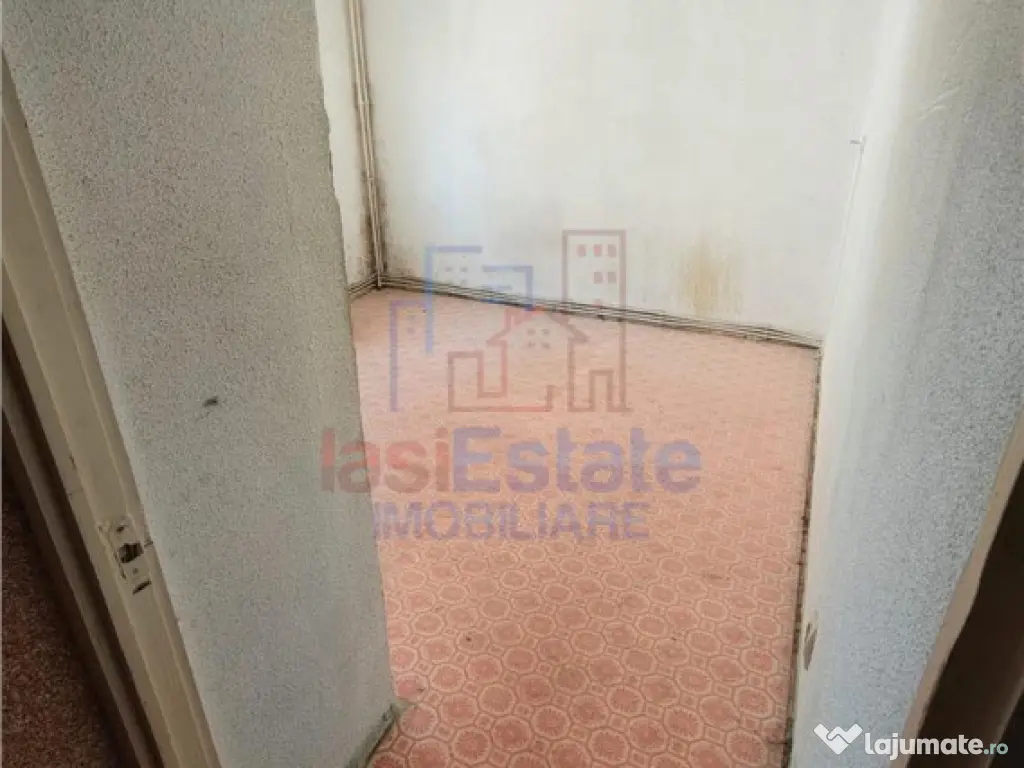 Apartament 2 camere Nicolina zona Esplanada