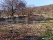 Casă spațioasă cu teren generos, de 3000 mp și priveliș 