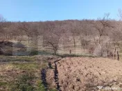 Casă spațioasă cu teren generos, de 3000 mp și priveliș 