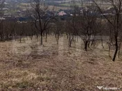 Casă spațioasă cu teren generos, de 3000 mp și priveliș 