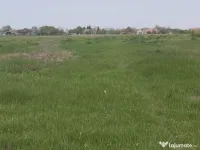 Vand gradina 65 de arii si casa locuibila Cauasd 