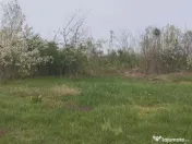 Vand gradina 65 de arii si casa locuibila Cauasd 