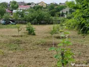 Somova teren intravilan 1032mp 