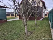 Casa / Vila ( P+M+Pod ) Zona Sf. Ilie - Profi 