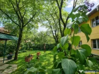 Imobil cu gradina verde in cartier linistit, Tractorul Braso 