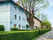 Imobil cu gradina verde in cartier linistit, Tractorul Braso 