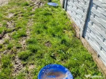 Vand teren intravilan Ghercesti 500mp