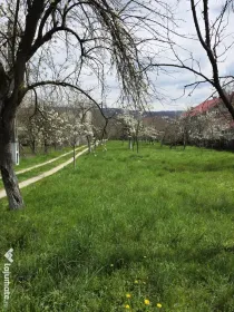 Teren intravilan, 1048mp persoana fizica