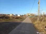 Teren de vanzare in Palazu Mare, Elvila - 980 mp 