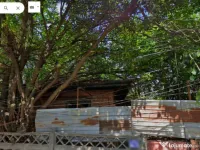 Două terenuri cu potențial 