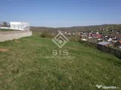 Teren de vanzare 10 ari - zona LEONI 