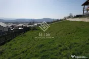Teren de vanzare 10 ari - zona LEONI 