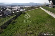 Teren de vanzare 10 ari - zona LEONI 