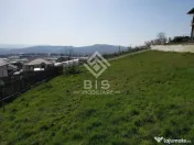 Teren de vanzare 10 ari - zona LEONI 