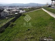 Teren de vanzare 10 ari - zona LEONI 