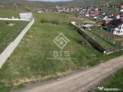 Teren de vanzare 10 ari - zona LEONI 