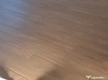 Executam diverse lucrari