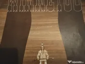 discuri vinyl cu povestiri 