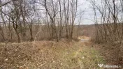 Teren cu panorama superba + padure Albota Gura Văii Arges 