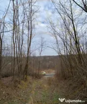 Teren cu panorama superba + padure Albota Gura Văii Arges 