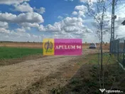 Gulia, teren intravilan curti-constructii, 523 mp 