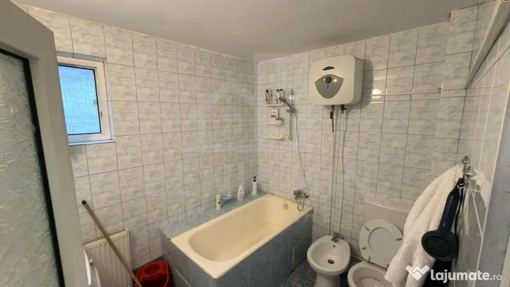 Vila-in-zona-Parcului-Nicolae-Romanescu-curte-mare-doua-c...