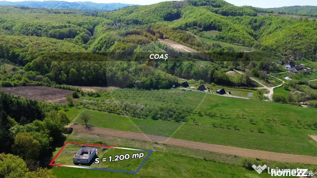 Proprietate de vanzare langa liziera pădurii Coas