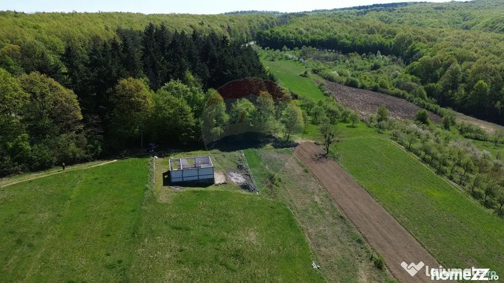 Proprietate de vanzare langa liziera pădurii Coas