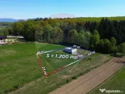 Proprietate de vanzare langa liziera pădurii Coas 