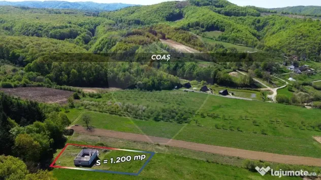 Proprietate de vanzare langa liziera pădurii Coas