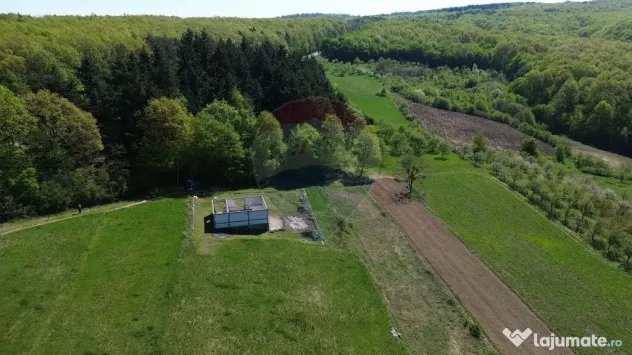 Proprietate de vanzare langa liziera pădurii Coas