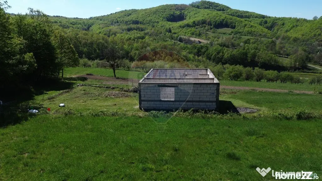 Proprietate de vanzare langa liziera pădurii Coas - Coas (Maramures)