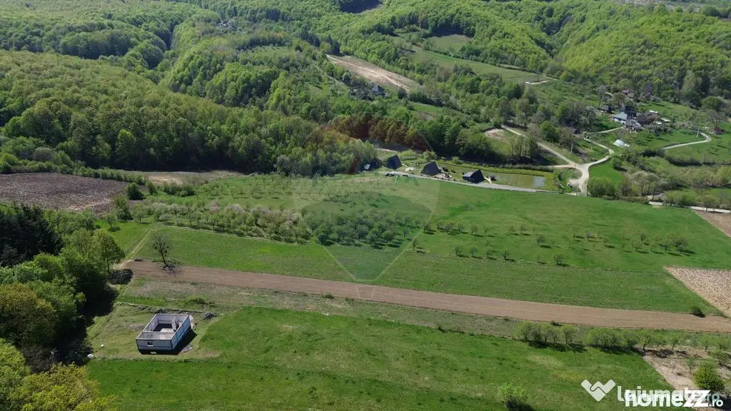 Proprietate de vanzare langa liziera pădurii Coas - Coas (Maramures)