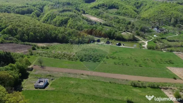 Proprietate de vanzare langa liziera pădurii Coas