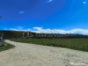 Teren intravilan de Talmaciu 