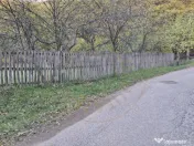 Teren 600mp intravilan - Balotesti 