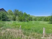 Teren intravilan 2200 mp, acces asfalt, pădure – Cuieș, 