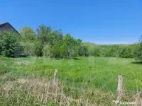 Teren intravilan 2200 mp, acces asfalt, pădure – Cuieș, 