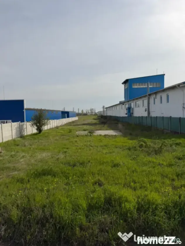 Teren de vânzare în zona Malu Mare, 5000mp ,front stradal
