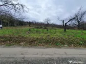 RECO Teren in Oradea 