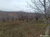 RECO Teren in Oradea 