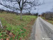 RECO Teren in Oradea 
