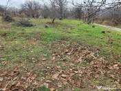 RECO Teren in Oradea 