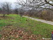 RECO Teren in Oradea 